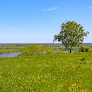 В гости к известным рязанцам